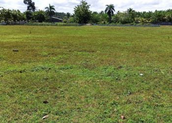 Tingkatkan Hasil Produksi Pangan